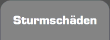 Sturmsch&auml;den